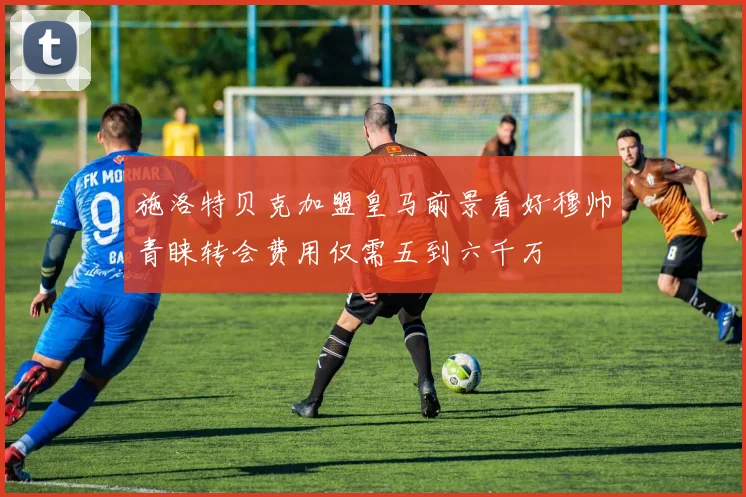 施洛特贝克加盟皇马前景看好穆帅青睐转会费用仅需五到六千万