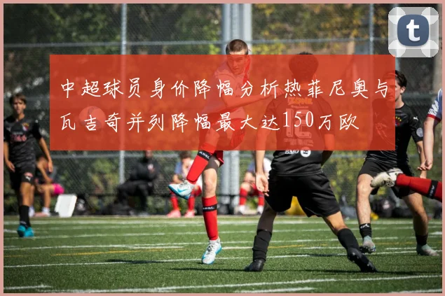 中超球员身价降幅分析热菲尼奥与瓦吉奇并列降幅最大达150万欧
