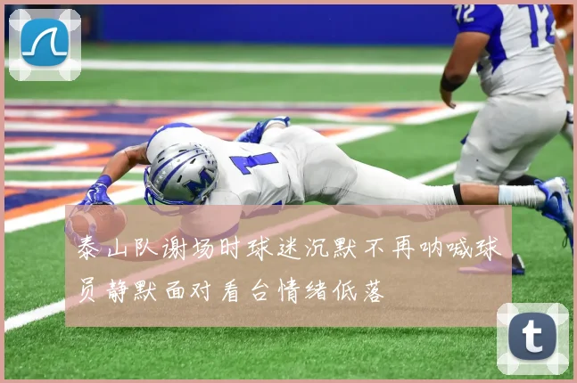 泰山队谢场时球迷沉默不再呐喊球员静默面对看台情绪低落