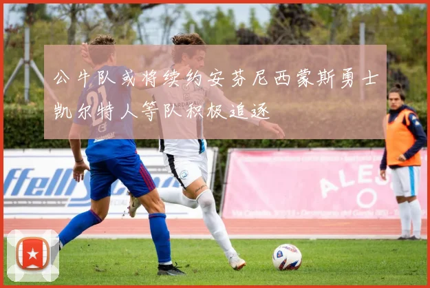 公牛队或将续约安芬尼西蒙斯勇士凯尔特人等队积极追逐